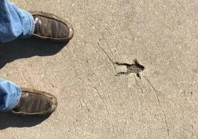 ��� �������, �� ���� ������� �����-�� ����� �������, ��������� � ��������