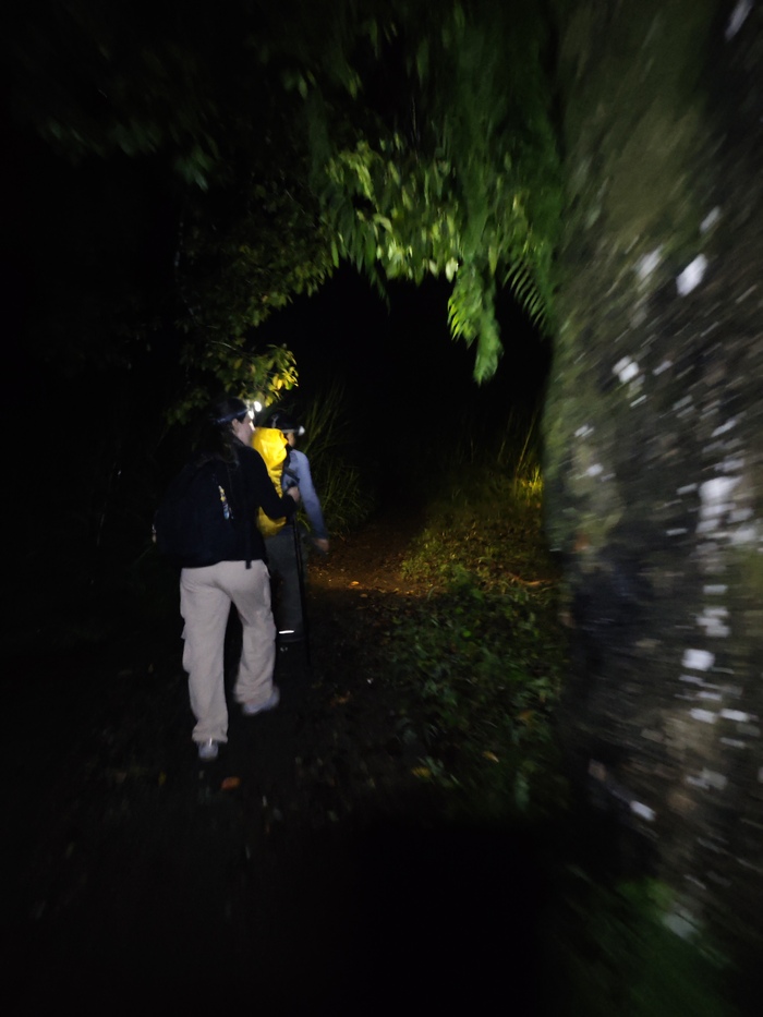 ��� � ����