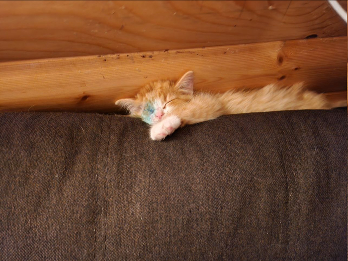 ��� ��� ��� ����