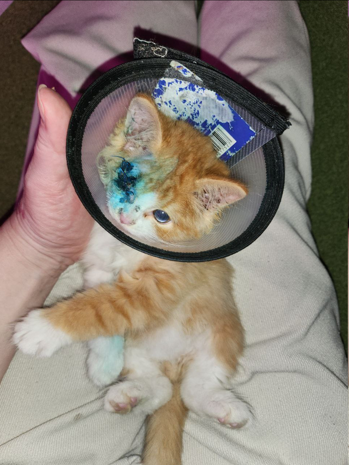 ���� � ������ ��� ����� ��������.