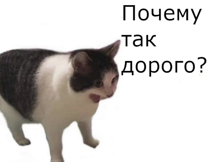 ����� ��� ����� ���� ��������� ������� ���� ����� ��