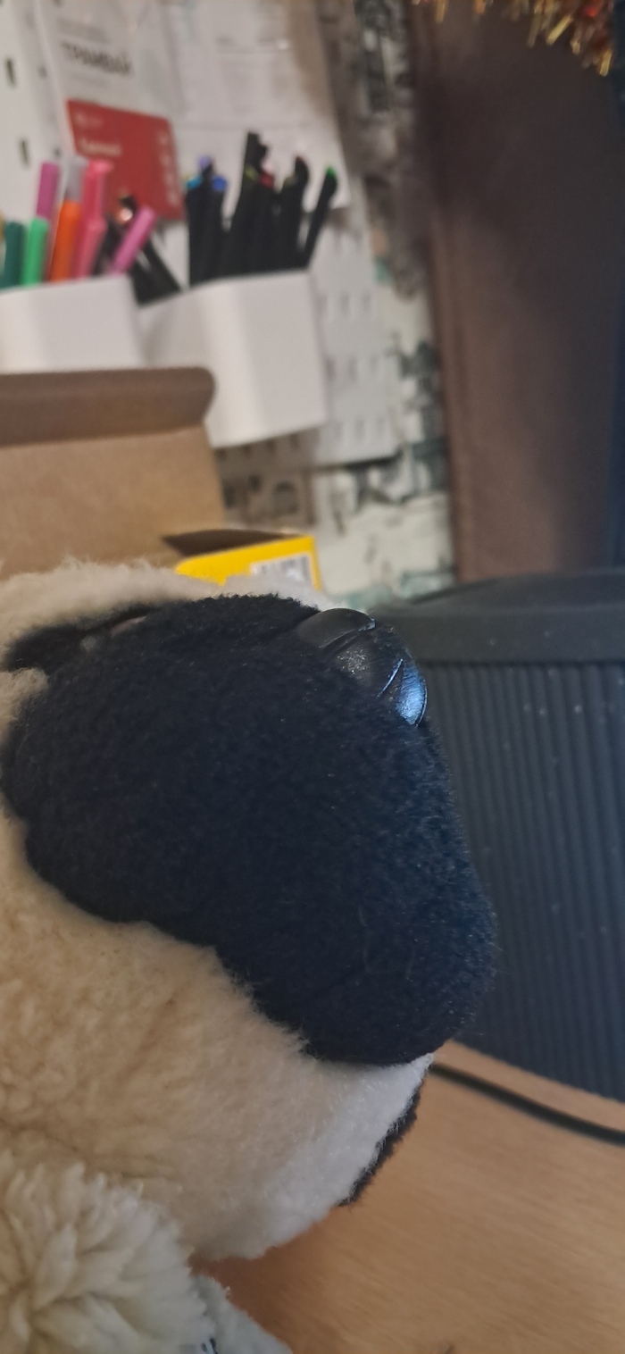 ���� ���