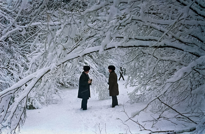 ��������: ������� �����