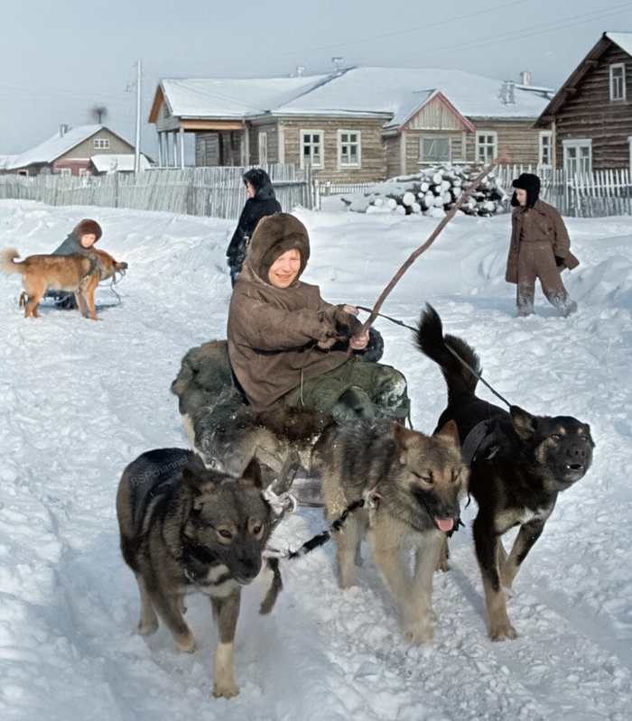 ��������: ������� ������