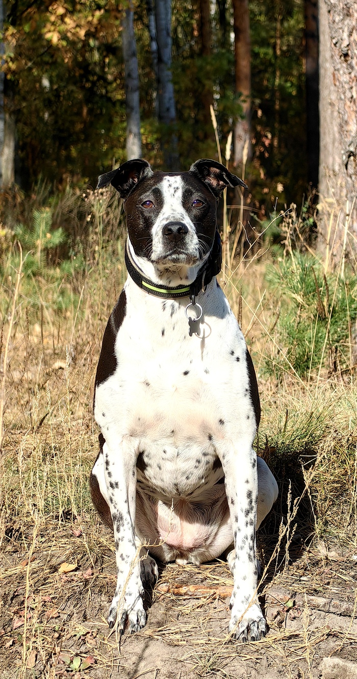 ����� �� ���� ��� ������ ���� ������ � ���� ����