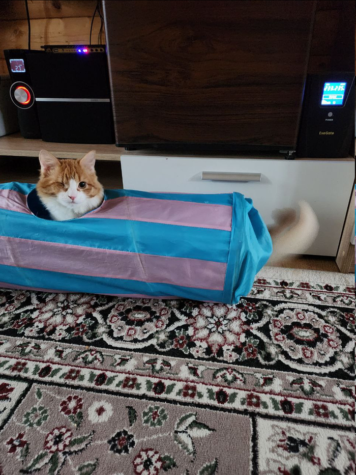 ����� ��?