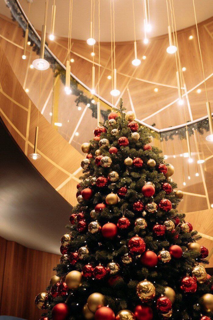 ���������� ���������� ���������