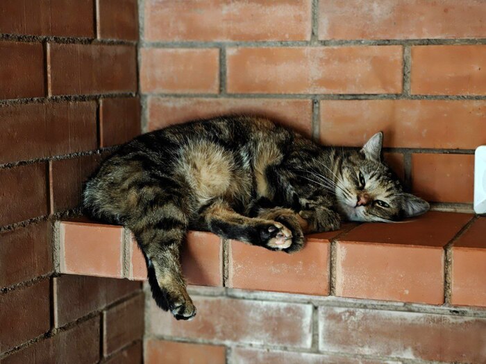 ���������� ���� ��� ����� � ������ �������� ����