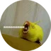 PulyD