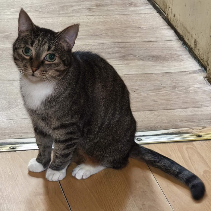 ����� �������: "��� �� ����� ���!"