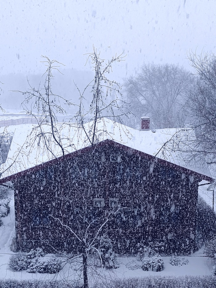 �������� ����� ����