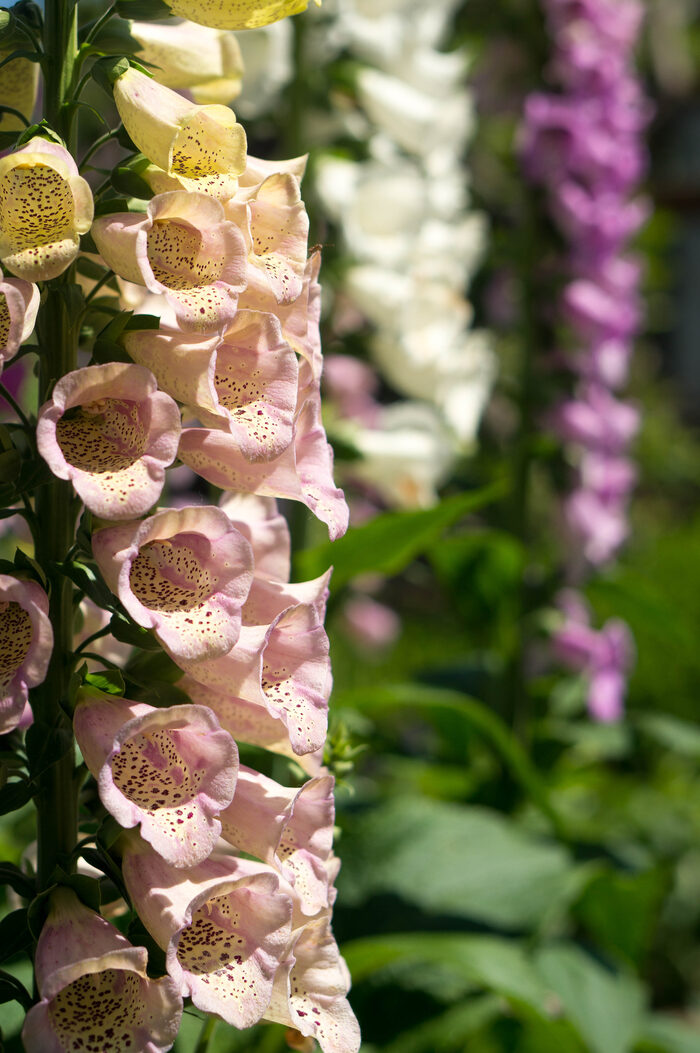 �� ����� �������� ���������� ����������