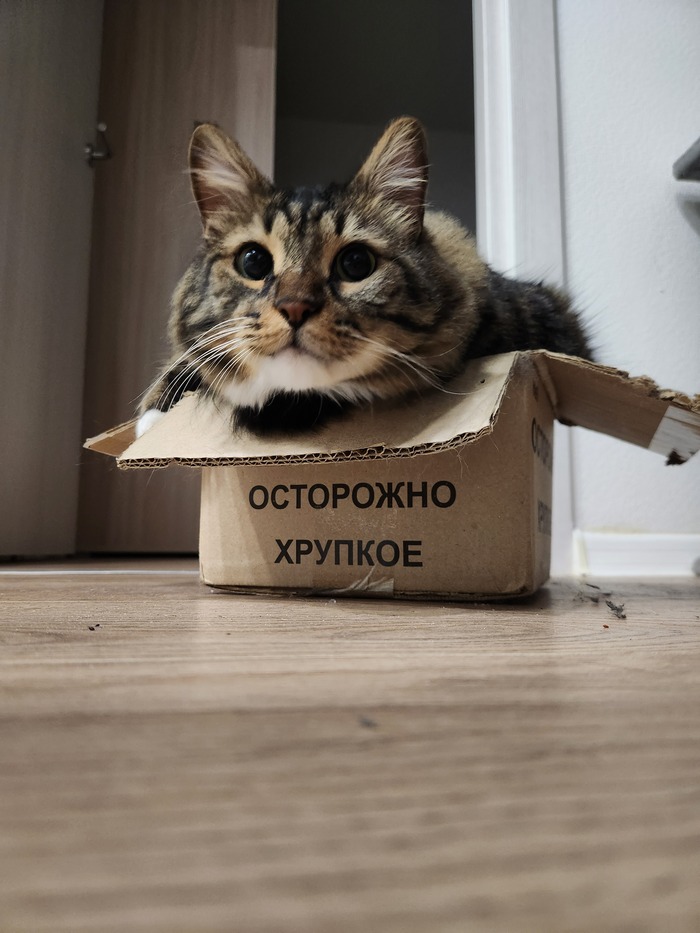 Ежедневный Рислинг #156