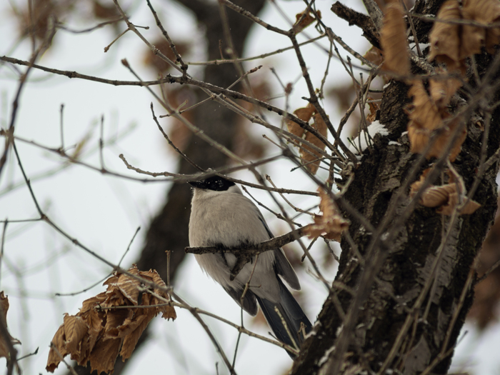 ������ 01📸