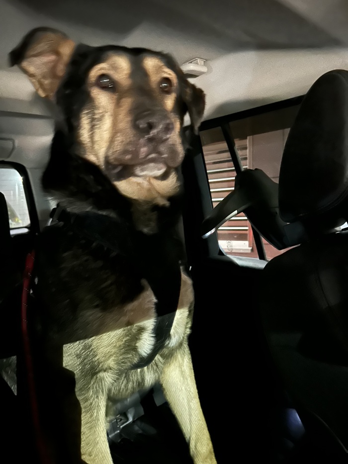 ����� �����)