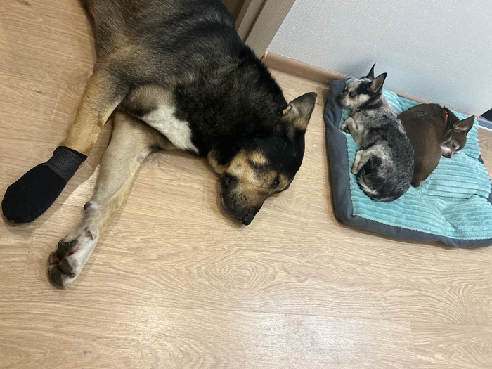 ��������� ����� ������� � ���� ���� ����� ������)