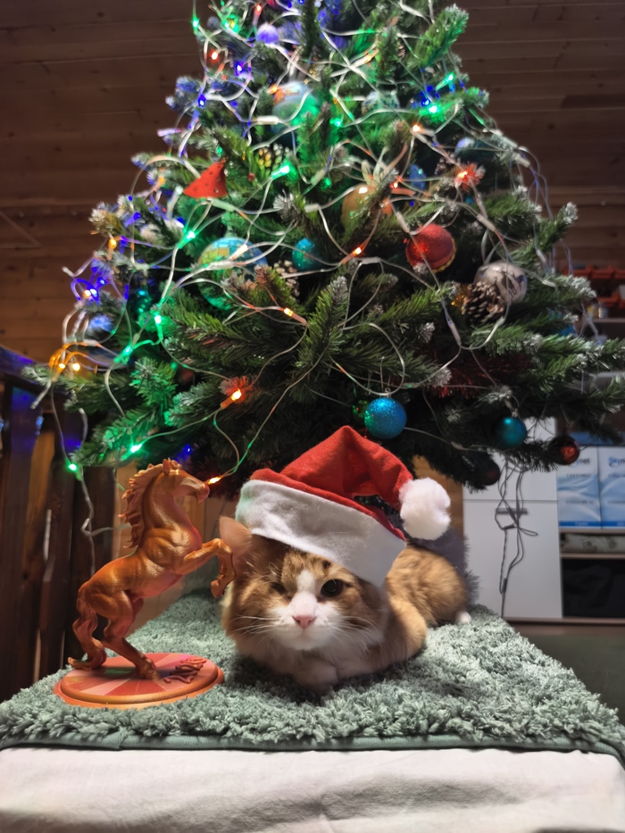 ����: �����, ����������, �����������