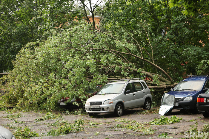 ���� �� ��������