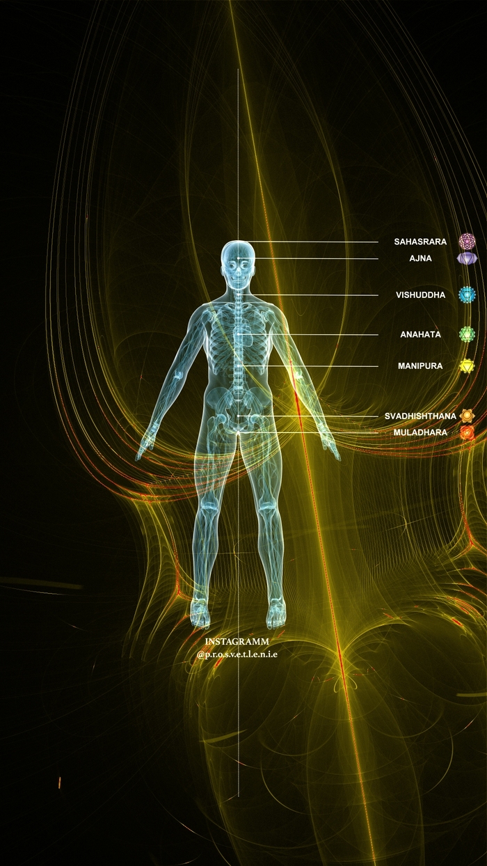 ���� ������