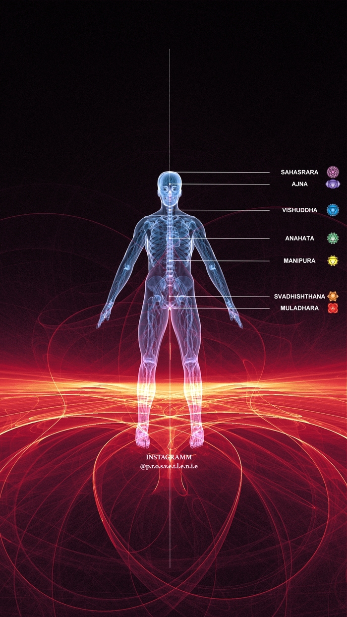 ���� ���������