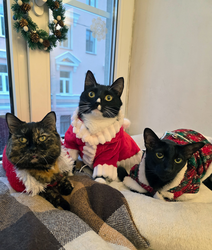 �������, ����� ��������� �����!