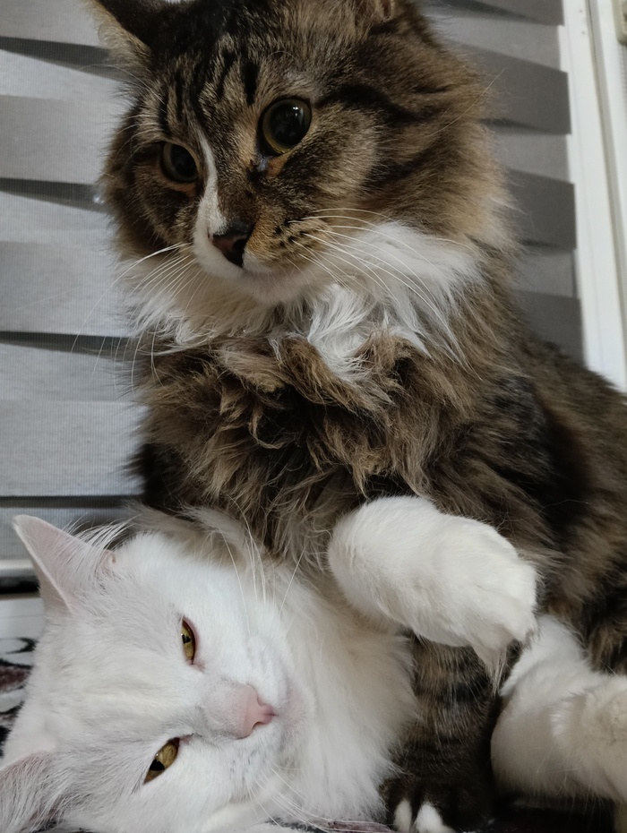 ����� � ���� ����������� ���� �������� � ����������� ����� �����!