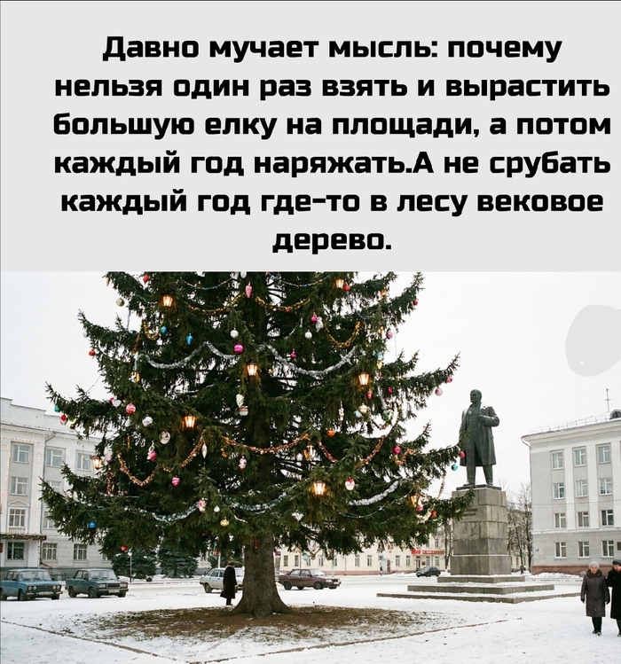 ���������� ����