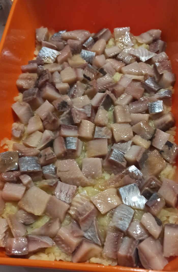 ����� ���� ������ ����