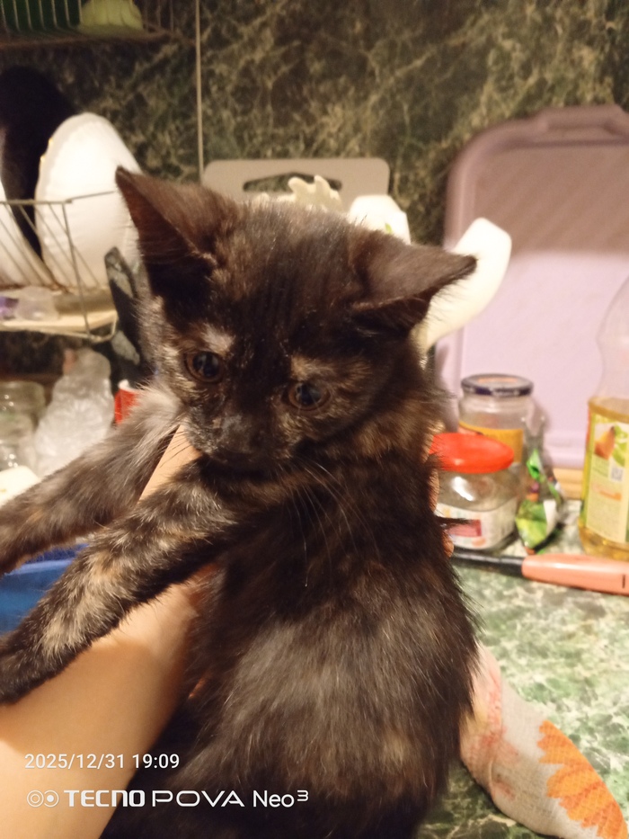 ����� ����� ����� ����.