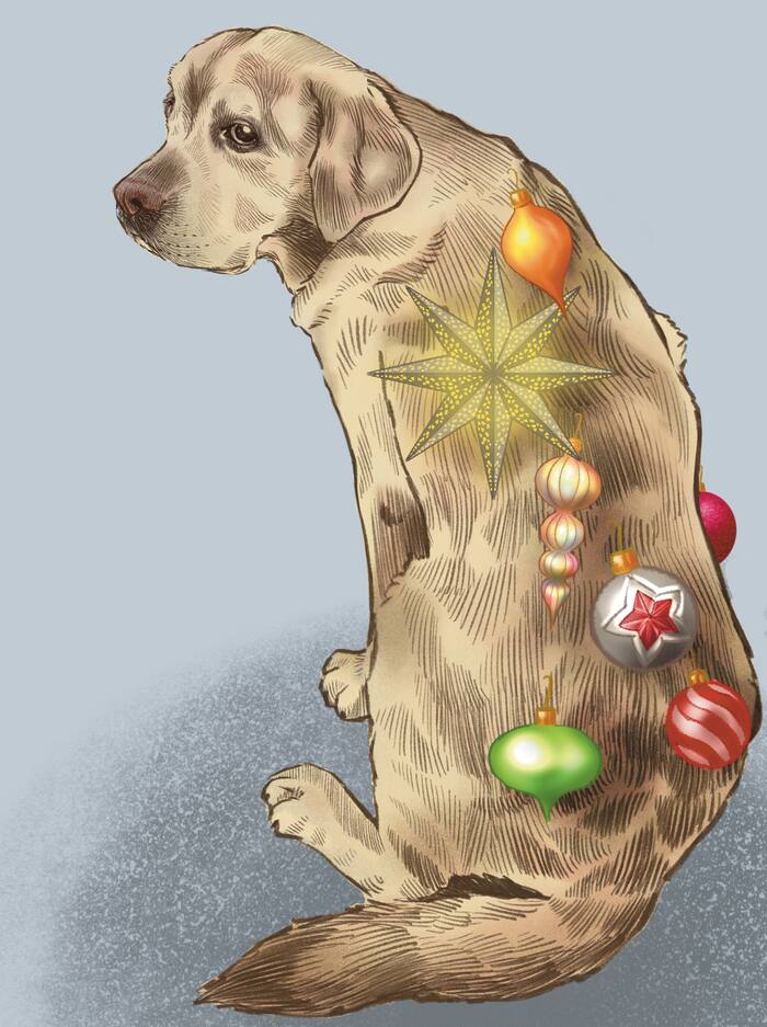 � ����� �����, � ����� �� ����� ����� ����������!