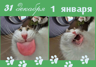 � �����������!