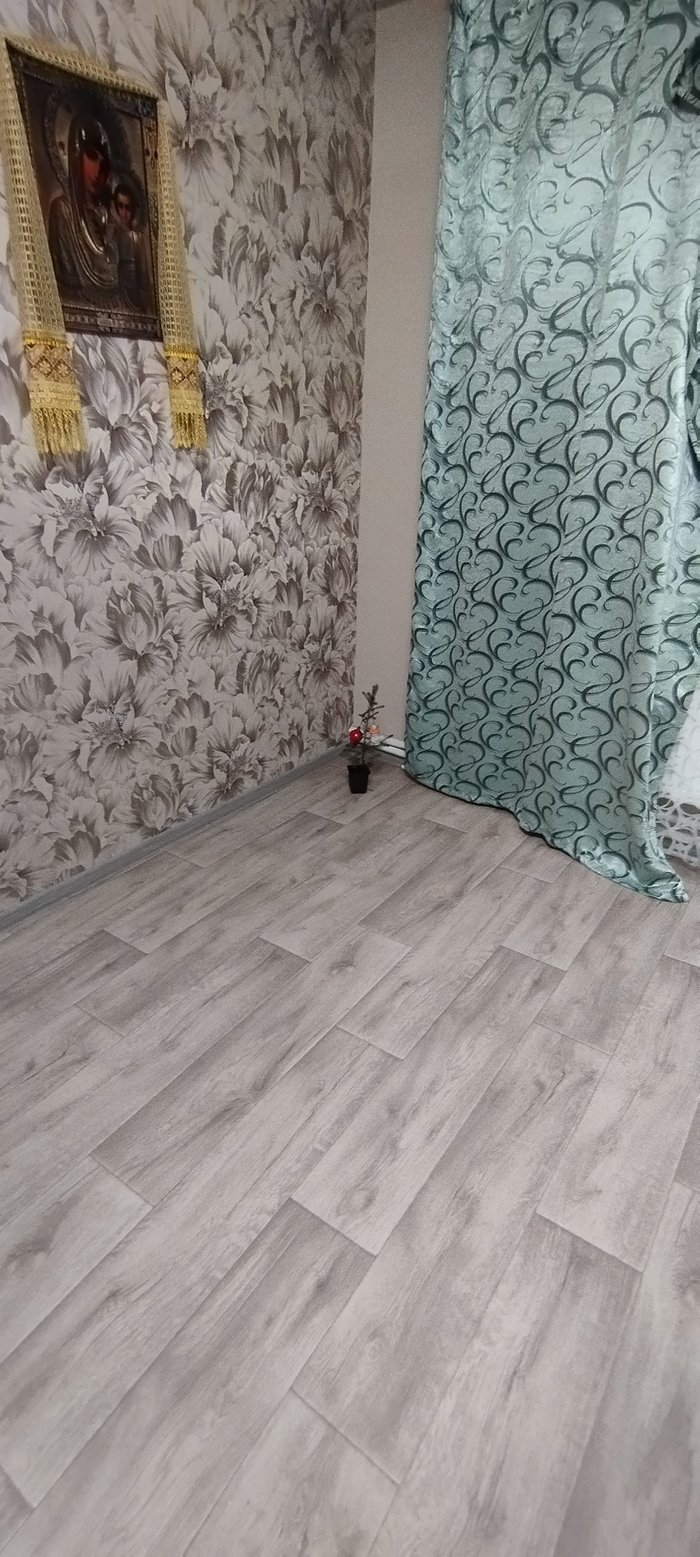 ����� �� ���� ������� ���� 2026�