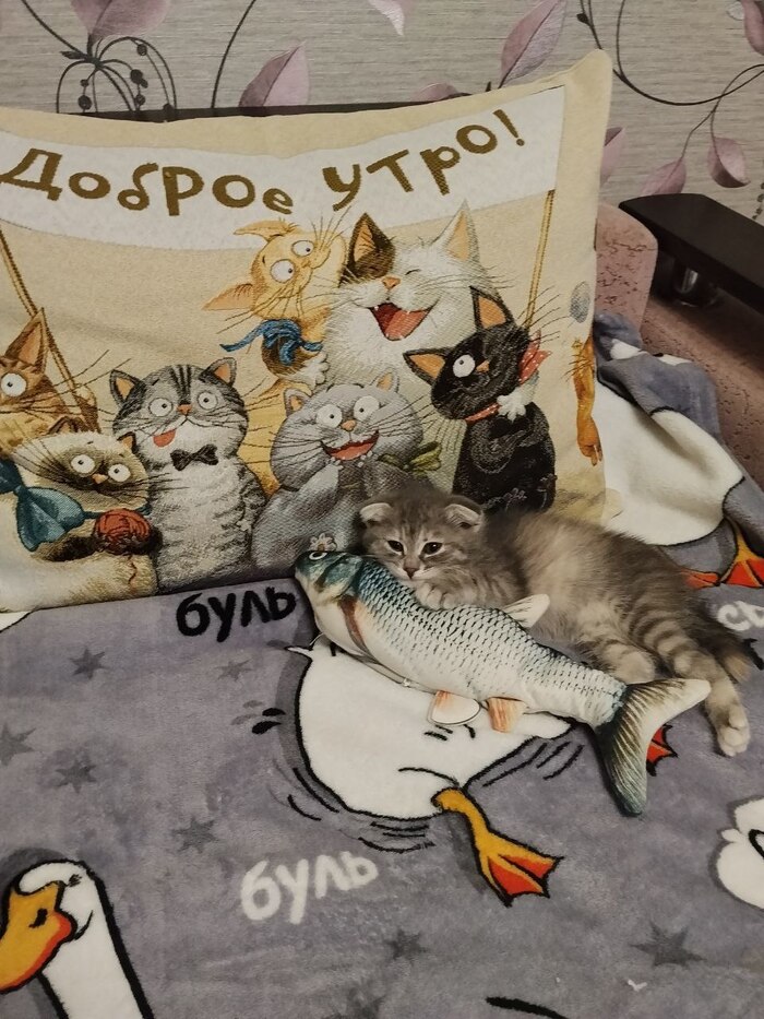 ������ ���� � ����� ���� �� �������