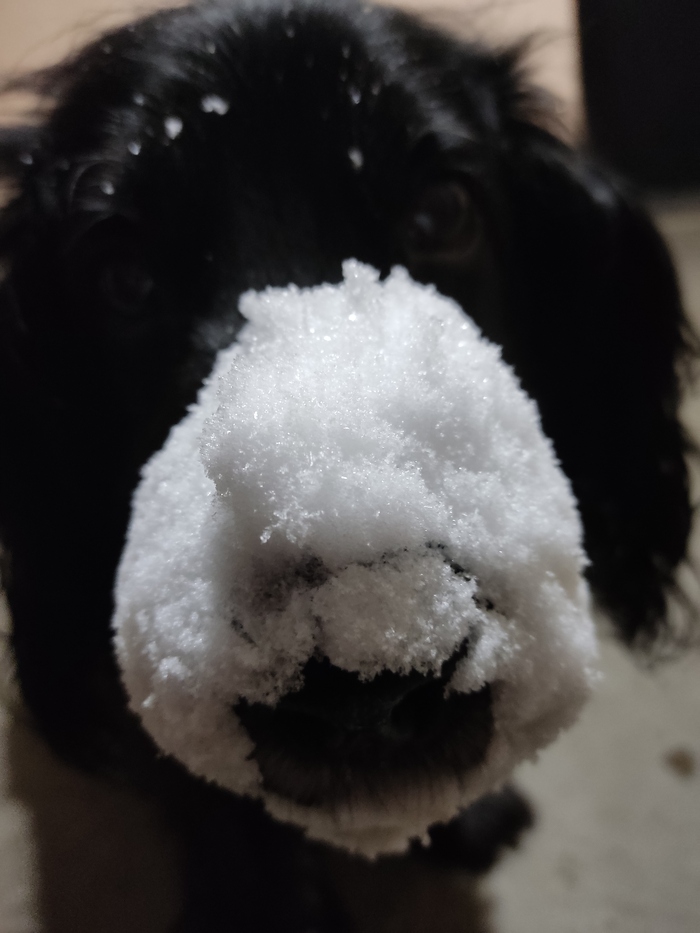 � ��������