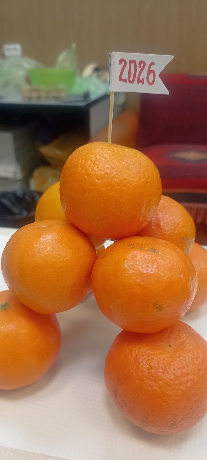 ��������� 31.12.25-01.01.26
