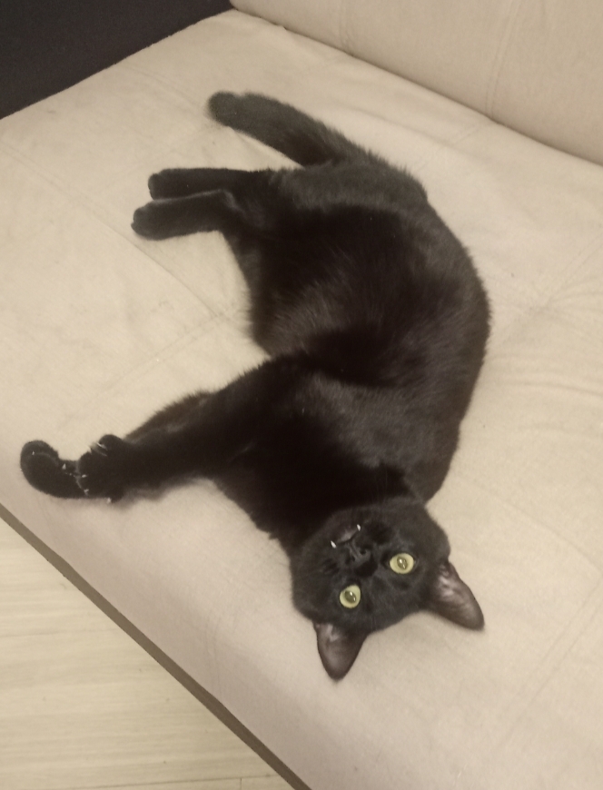 �������, ��� ���� �������� � ������ ���� ������ ����