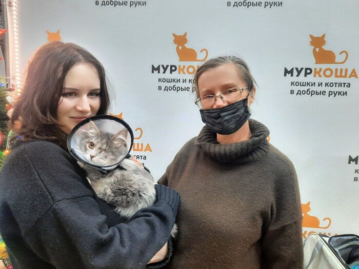 ������-������� ���������� ����� �� ������ ����� 26 ������� 2025 ����.