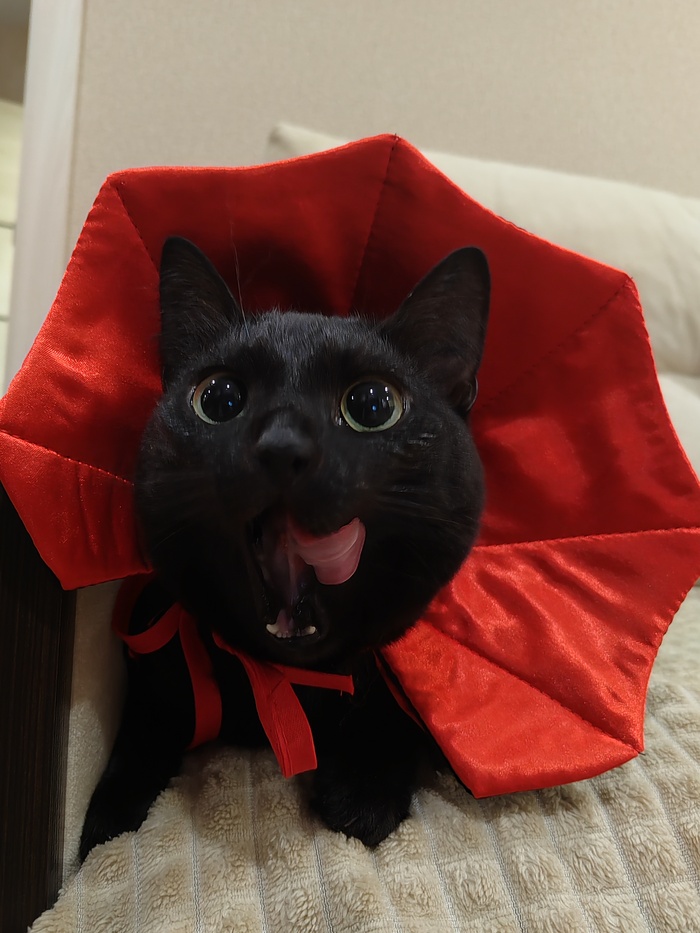 ������ �������� ������� �������