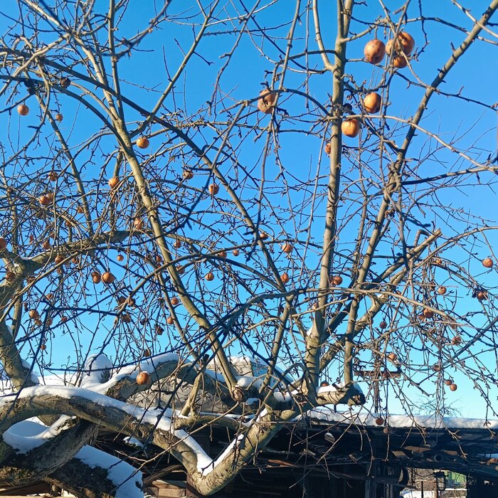 � ����� ��������!