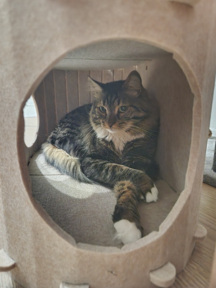 ���������� ������� #158