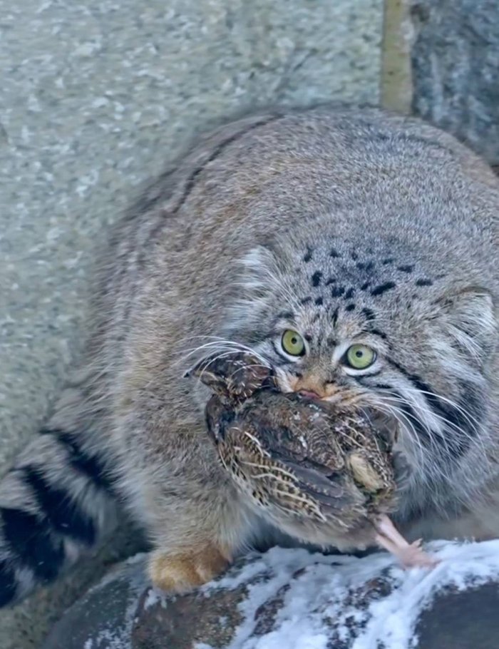 �������� - ��� ��� �� ������ �������