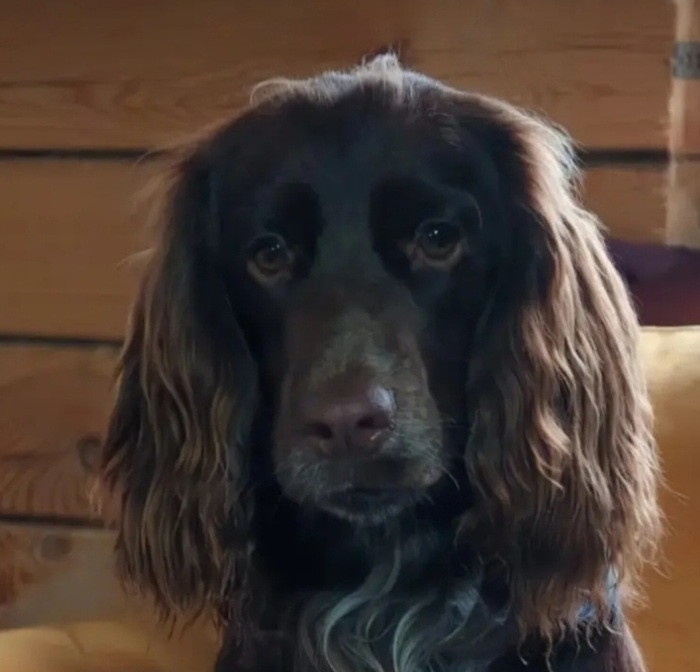 ������� ������ !!! ������� �����������