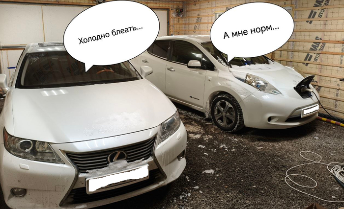 �����, �����