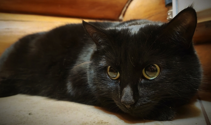 �� ����� ���� ������� �� �������� ����