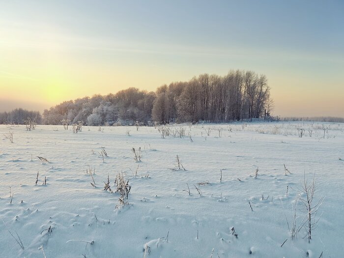 Морозный день