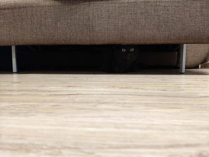 ��� ������������ ������