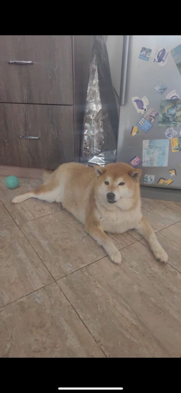 �����, ��� �������� ������� ������...