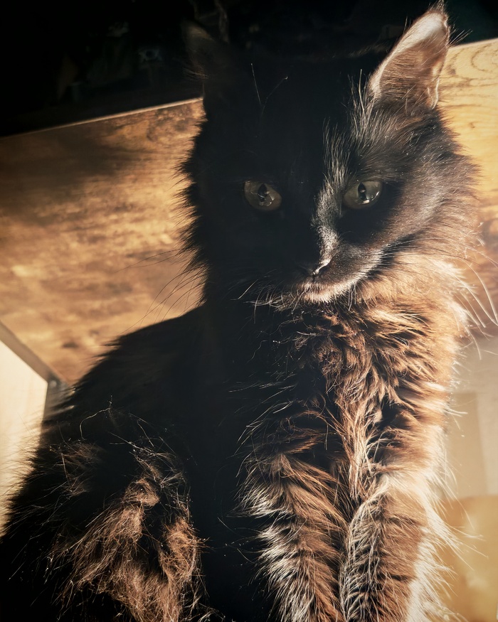 � ���� ���� ����, ������!