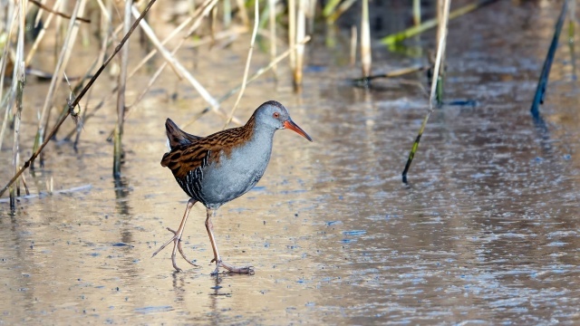 ��� ���� ��� �����, ������ ��� ����� ����� ����, ������� �� ����������. � ��� ���� ��������, �� ����� �� ���, ��� � ��� � "��������".