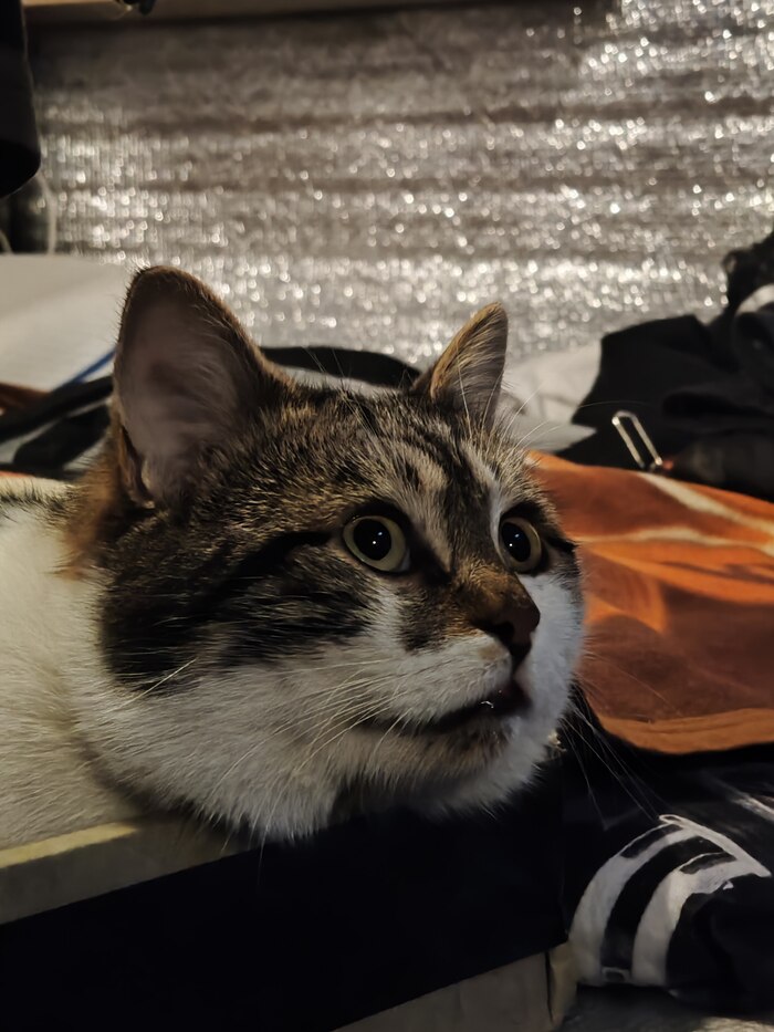 ����� �� ���� ������� ��� �����